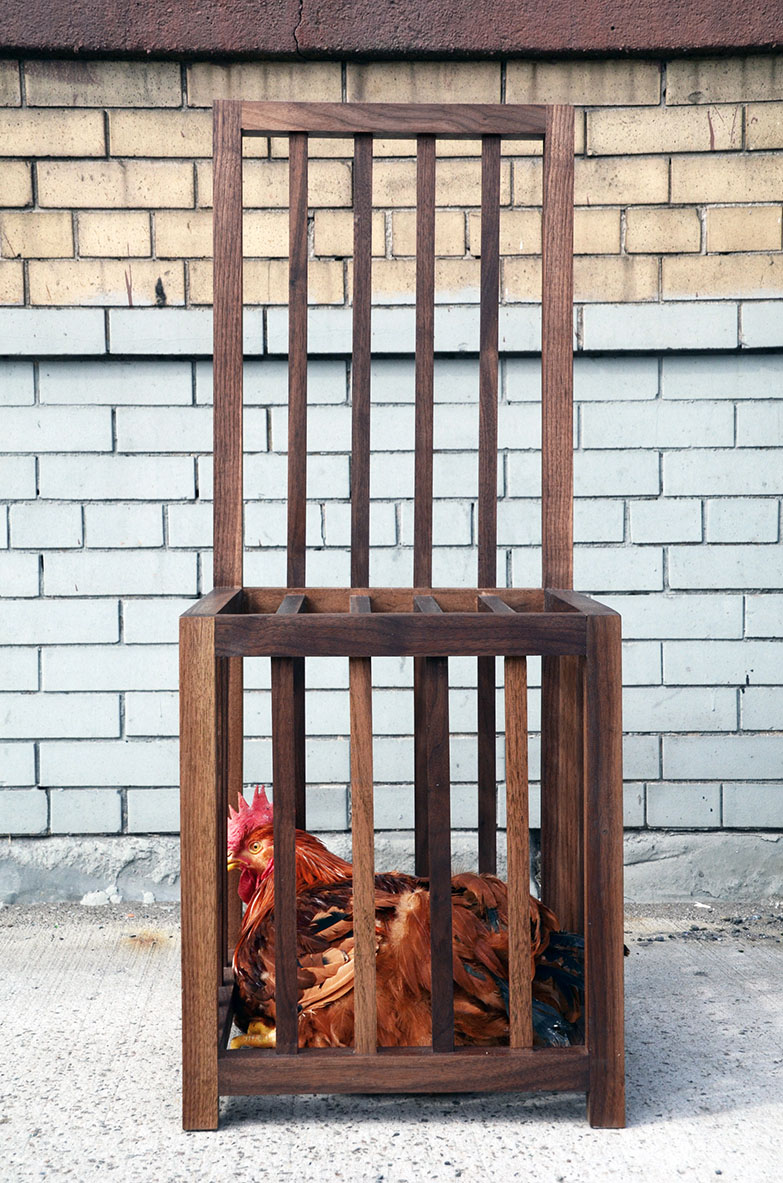 Chicken chair